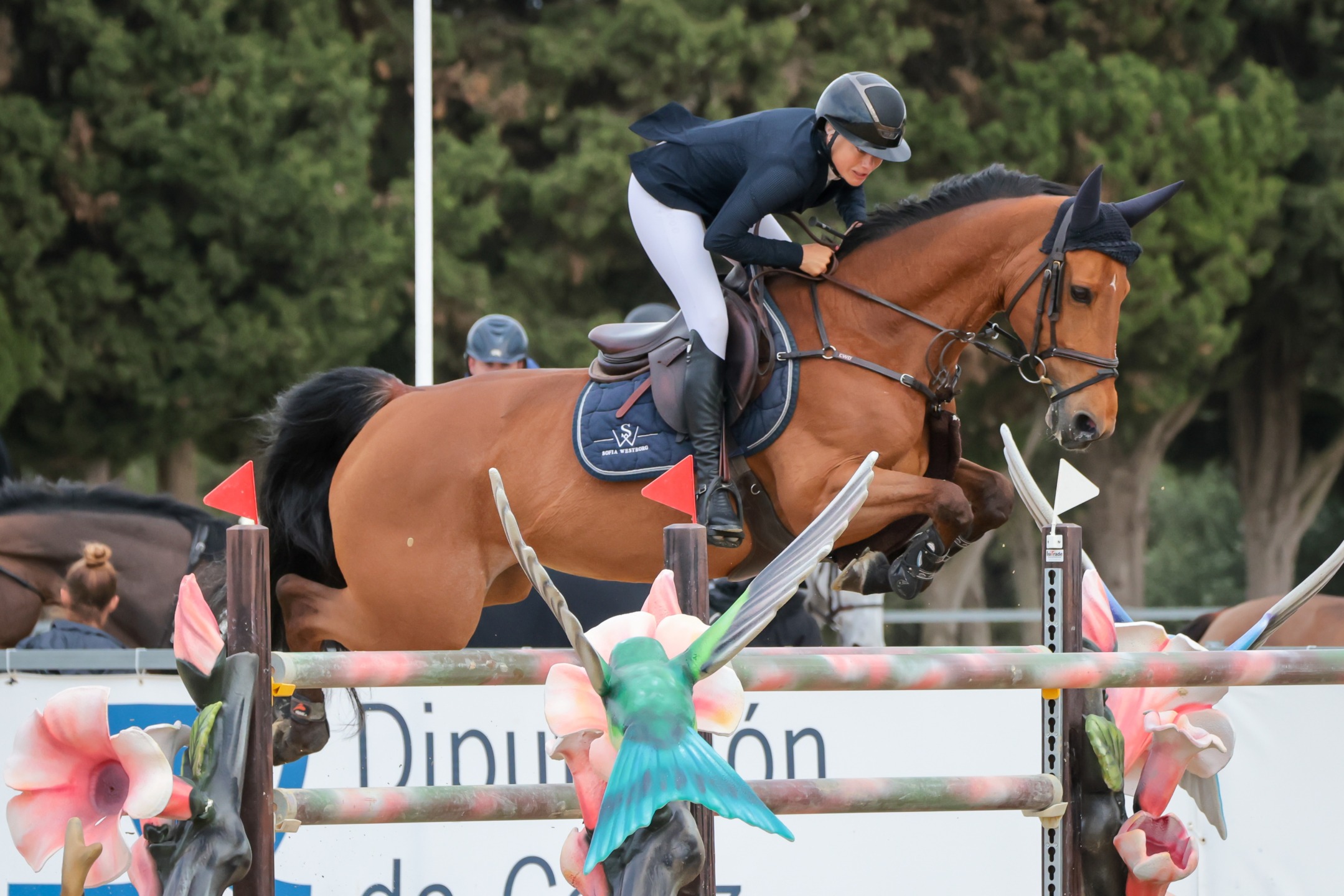 Sunshine Tour: Sofia Westborg vince la 1.45 m, Marek Lewicki vince il Big Tour Trofeo Hipotels da 1.50 m 1 Sofía Westborg & ‘Alencia Von Hary Z'