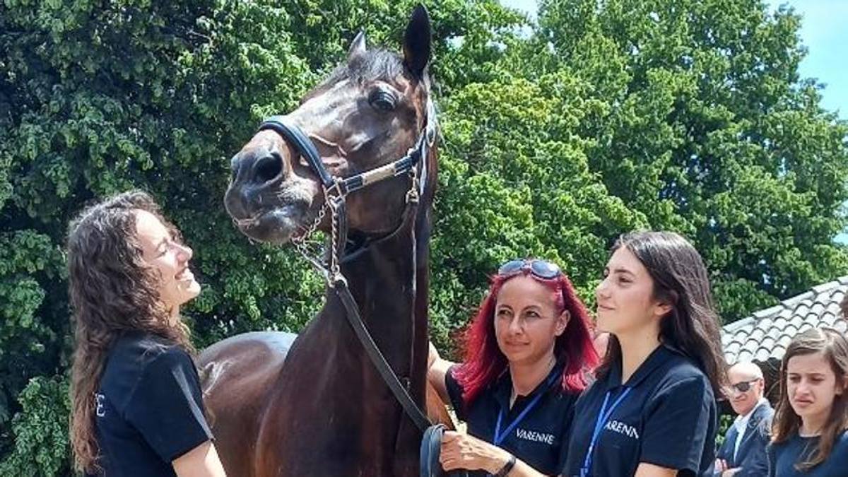 Venerdì 22 marzo sette corse all'Ippodromo San Paolo 1 Varenne