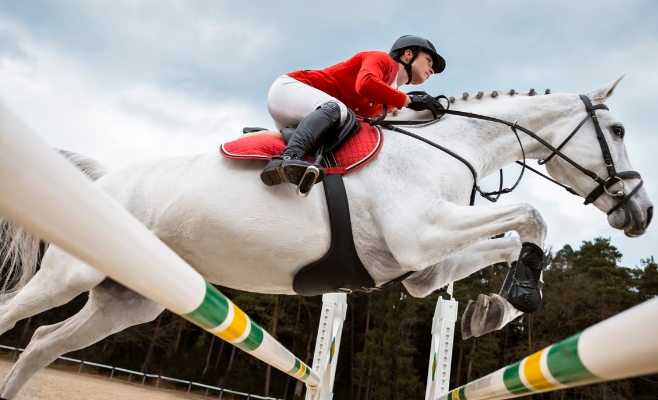 Equiplanet: Horse Well-being Through Nutrition 4 foto benessere cavallo