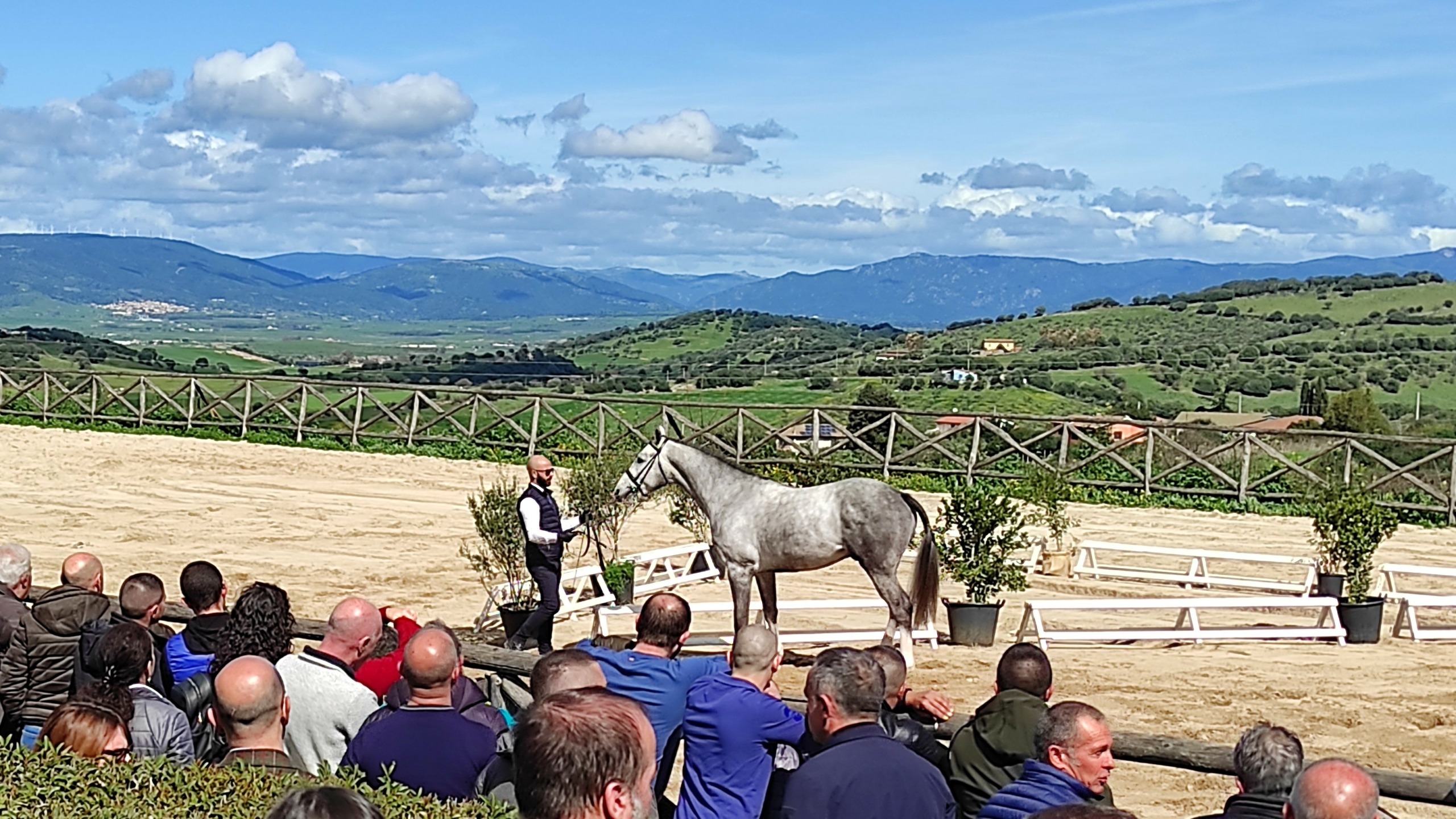 presentazione stalloni su padru