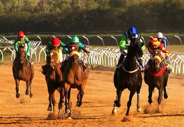 corsa al galoppo all'ippodromo del mediterraneo di siracusa