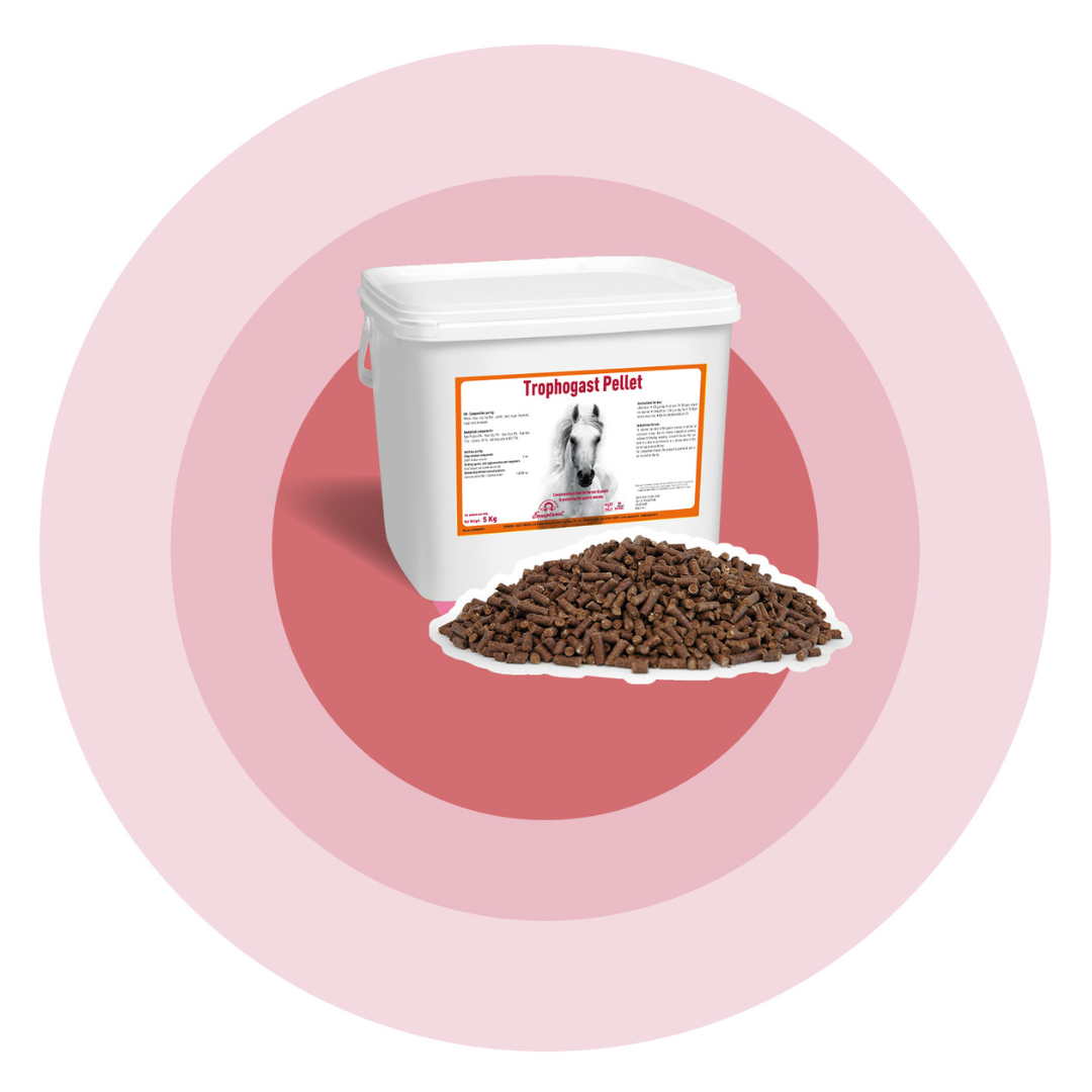Equiplanet: Horse Well-being Through Nutrition 5 trophogast pellet ricerca