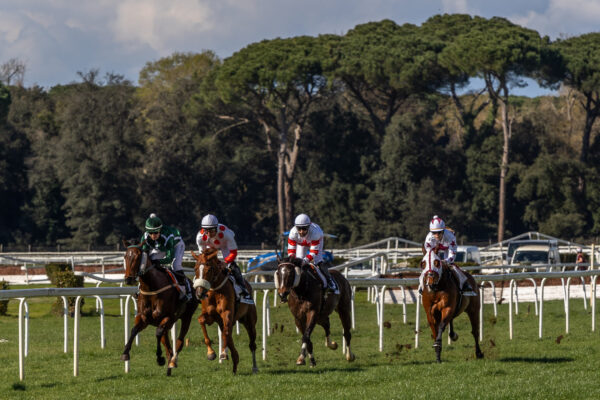 Corsa all'ippodromo San Rossore