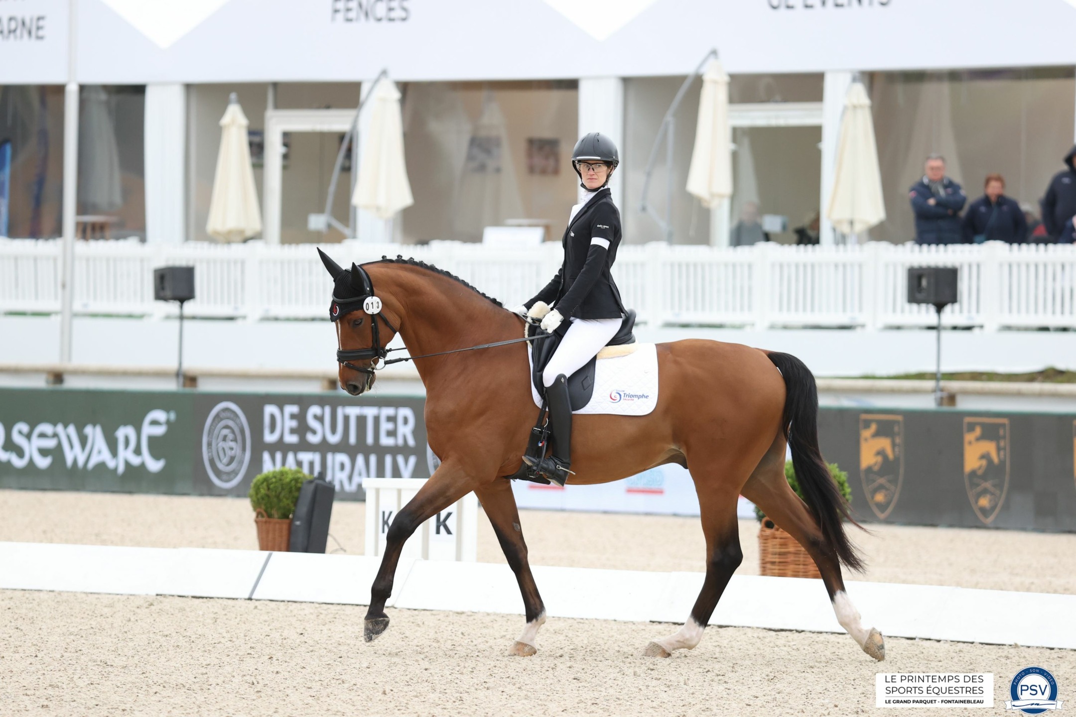 CPEDI3* Fontainebleau, Printemps des Sports Équestres: in testa gli USA 5 20242404 CPEDI3 GRADEI ©PSV. J.Morel