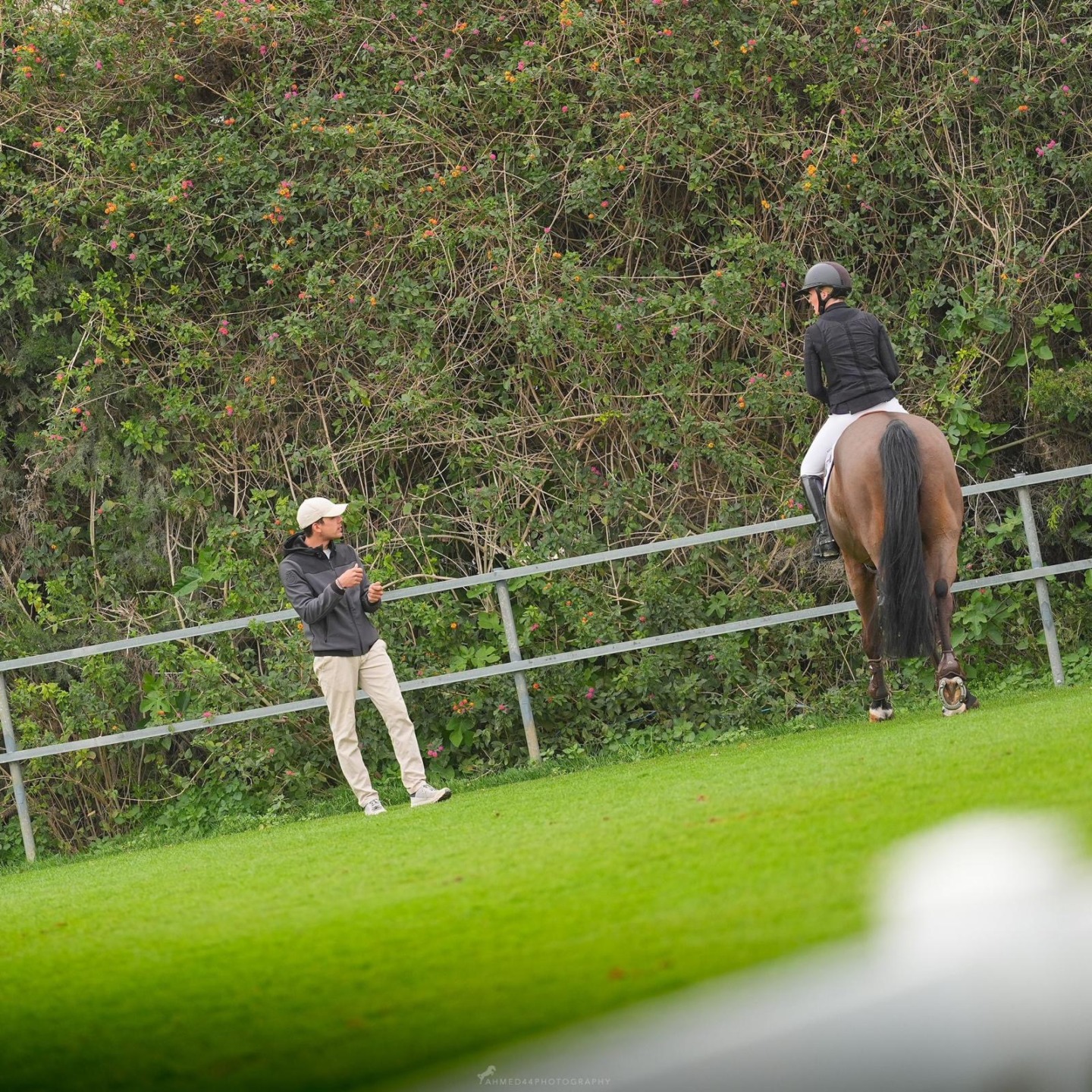 From Show Jumper to Trainer: The Journey of Raffaele Valente 3 95623f2c b6b7 4ec4 aabd 1edf6f233e34 1