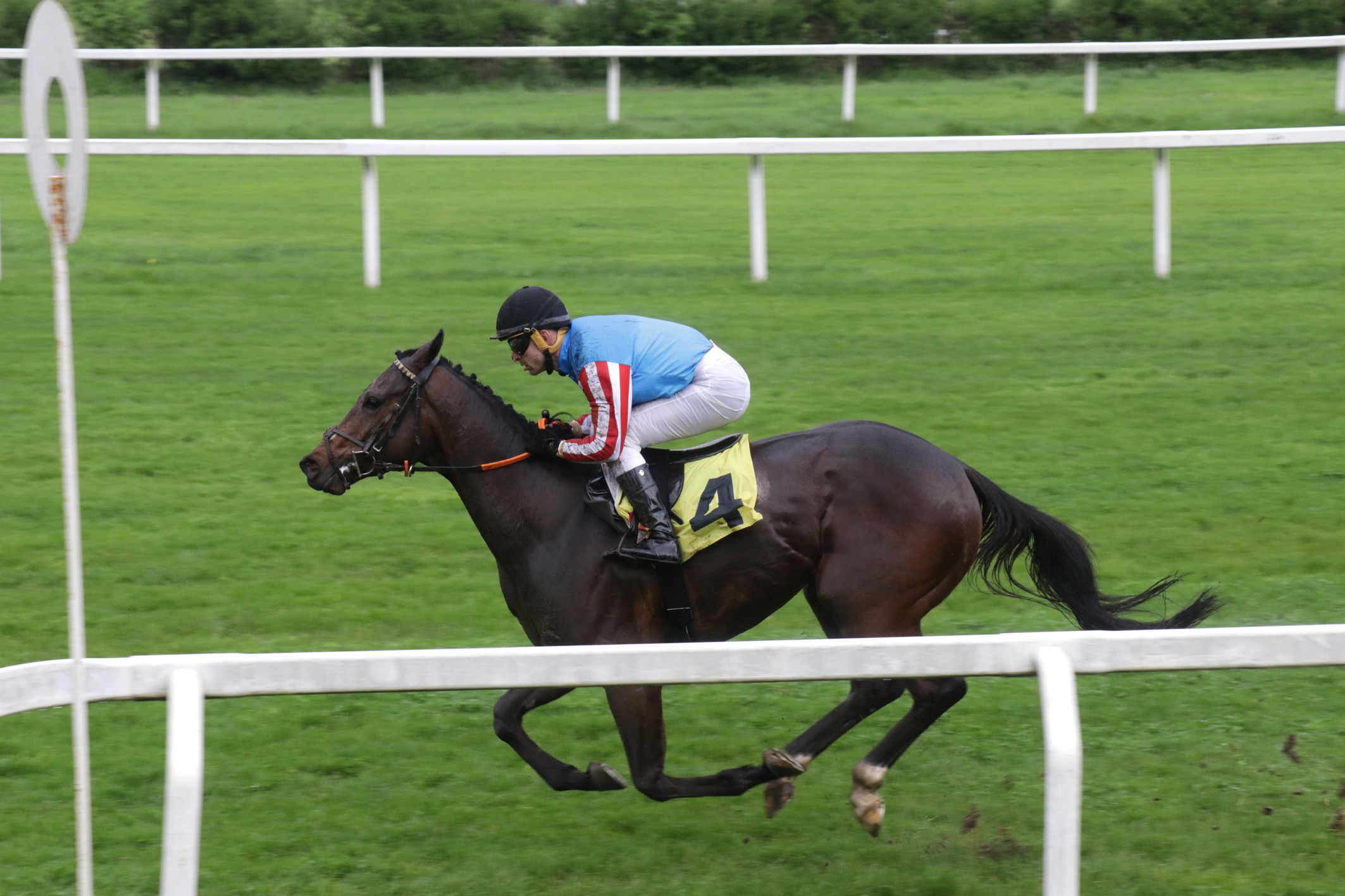 Il primo mercoledì della stagione all’ippodromo Snai San Siro 1 CORSA2_PREMIO DEI LAGHI