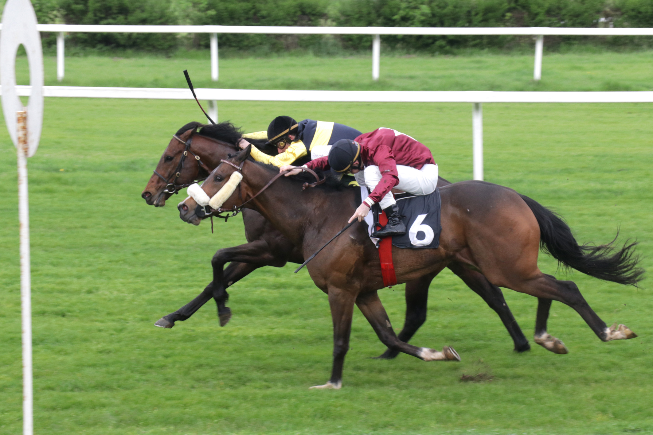 Il primo mercoledì della stagione all’ippodromo Snai San Siro 2 CORSA3 PREMIO CORSO BUENOS AIRES