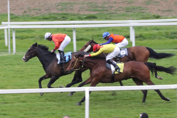 CORSA5_PREMIO HANDICAP DI PRIMAVERA