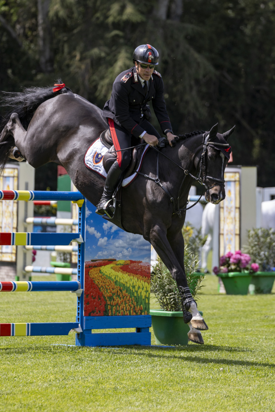 Grossato Massimo riding Cash du Pratel CampItaAss Cervia 20240419 SS359903