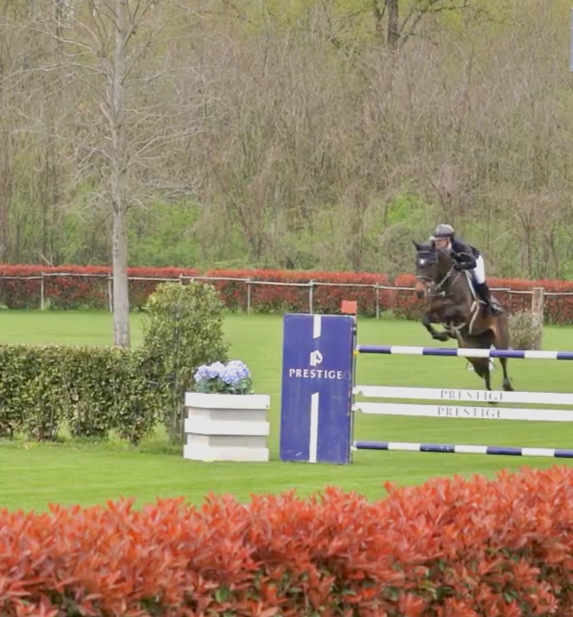 A Passion for Horses: An Insight into Mel Thijssen's Equestrian Journey 1 IMG 3926