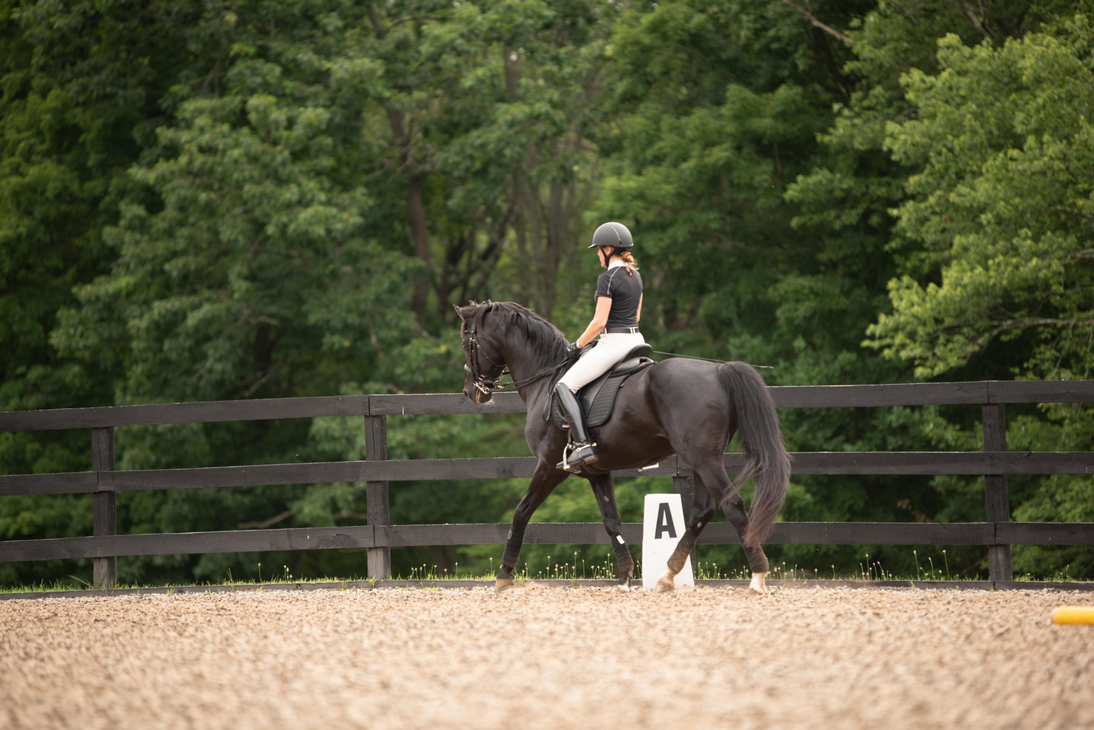 Pilates For Equestrians: The Pilates Bridge 3 IMG 9282