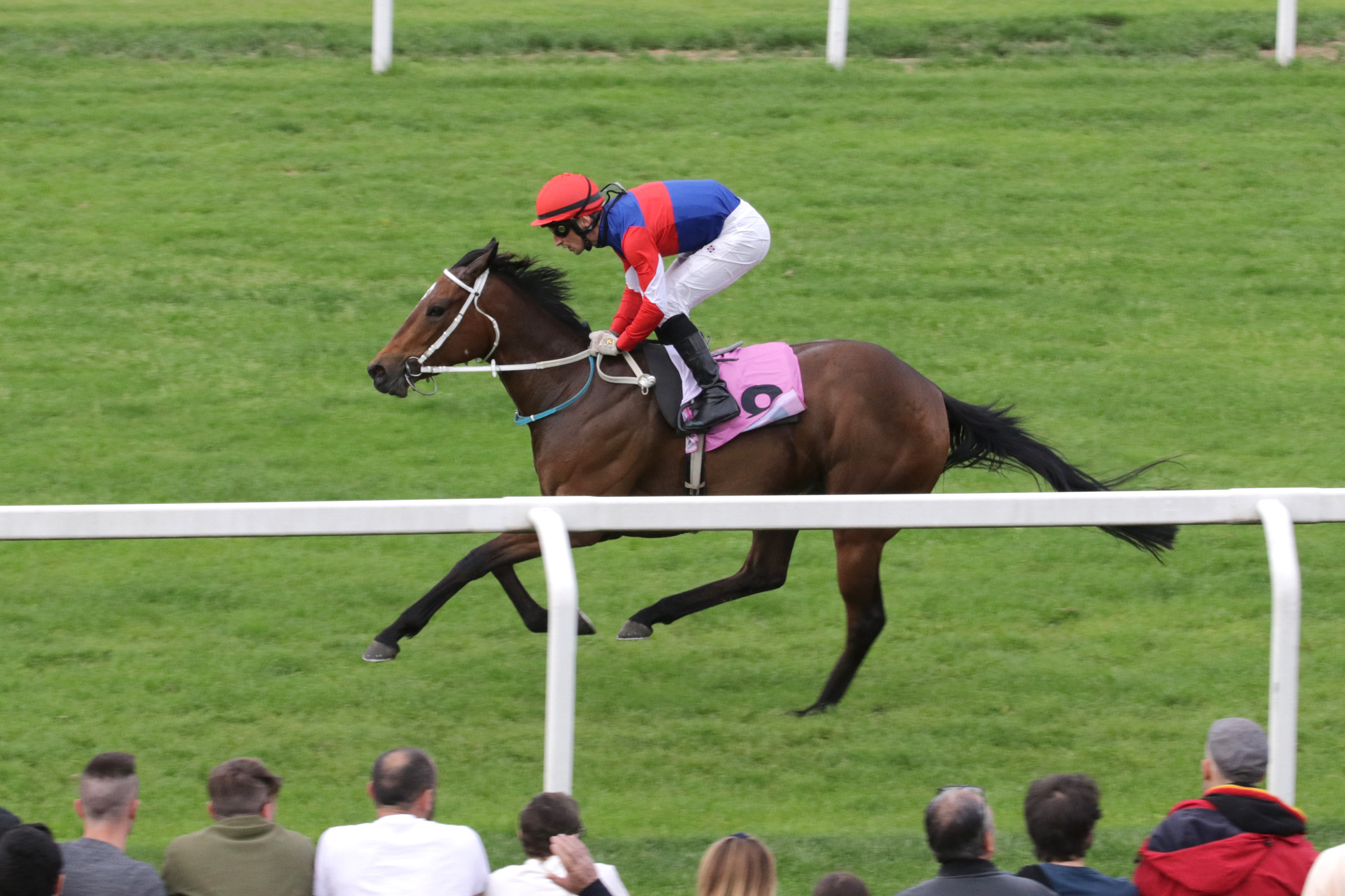 Premio Certosa Arrivo Ippodromo Snai San Siro