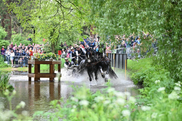 Salto Ostacoli, Dressage, Attacchi: nomi importanti per il Royal Windsor Horse Show 2024. 7 Royal Horse Show 2024, spettacolo di salto ostacoli, dressage e attacchi