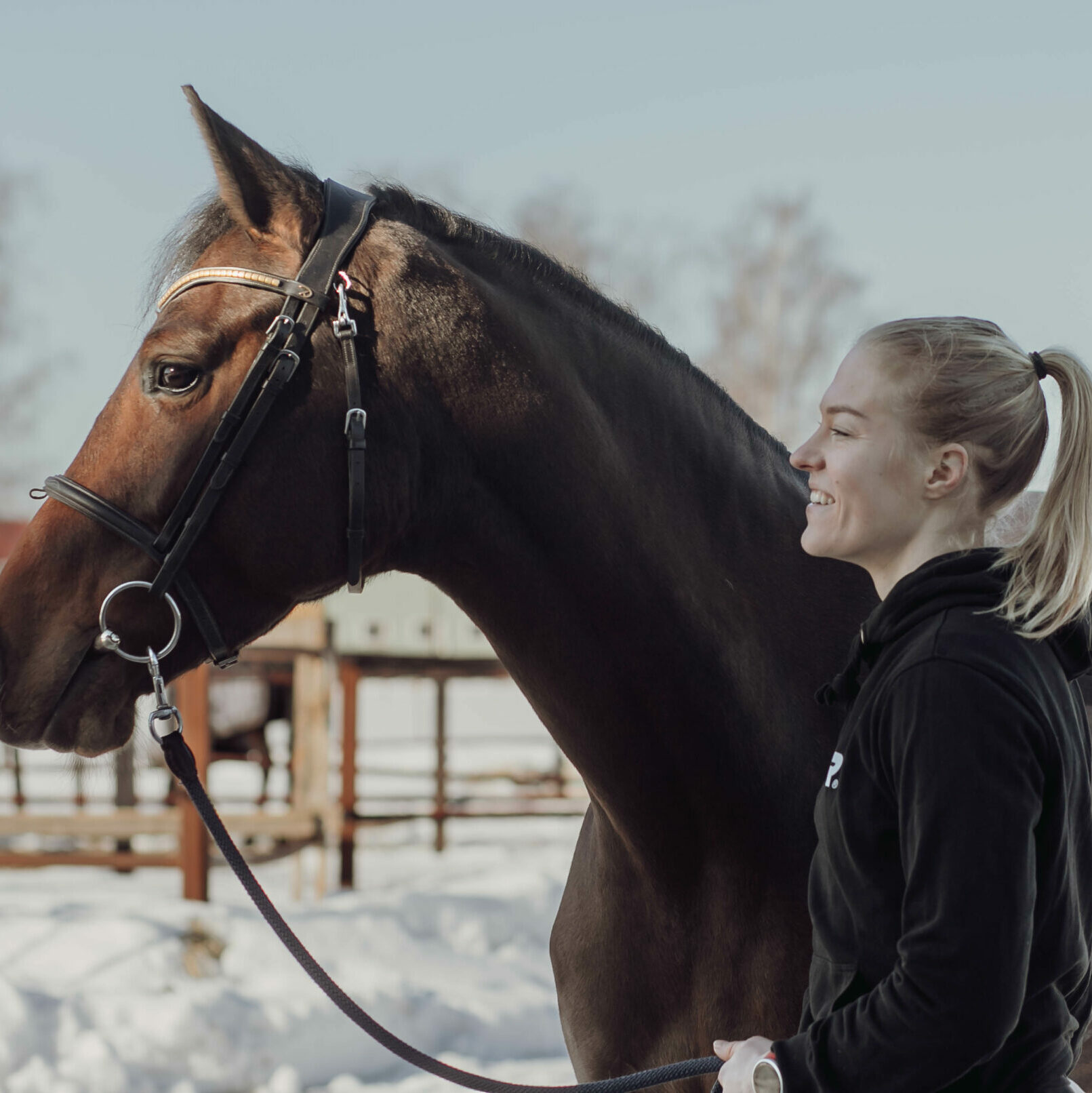 equestrainapp horse with young girl 1 edited