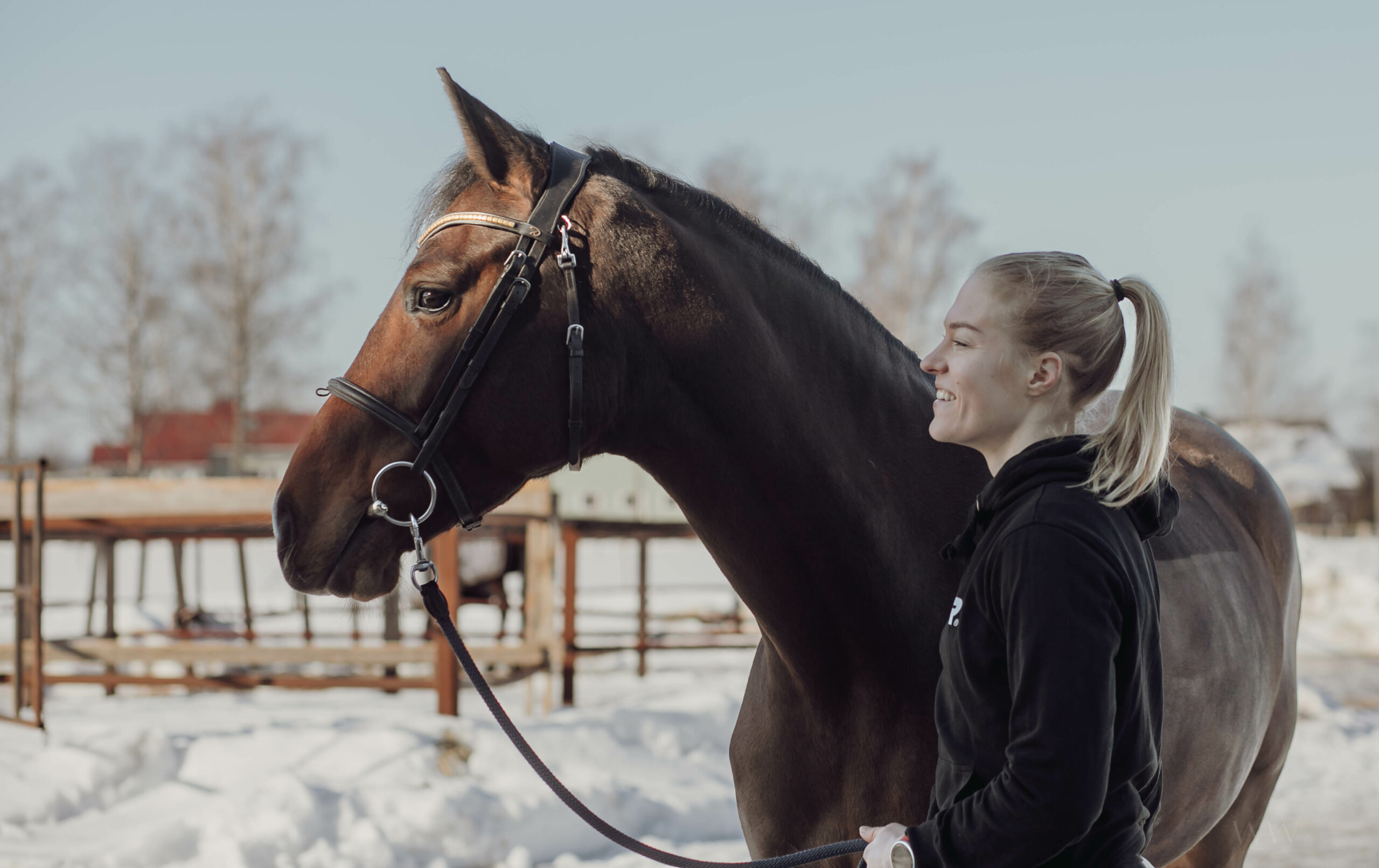 equestrainapp horse with young girl