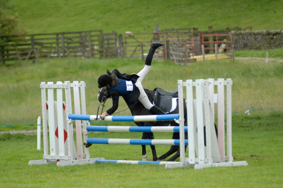 Occipitale Di Cavallo Veduta Rostrale - Barone Diagram - Foto 6