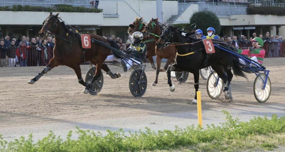 Ippodromo Arcoveggio Bologna. 2 gentlemen tinarelli