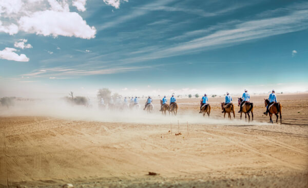 corsa di endurance equestre nel deserto