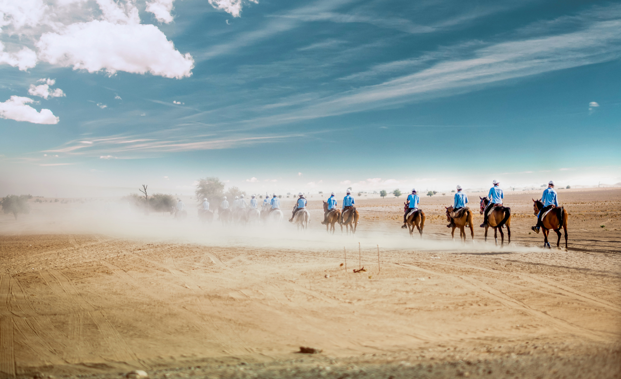 Caso studio di una cavalla da endurance: l’interpretazione degli esami del sangue 1 corsa di endurance equestre nel deserto
