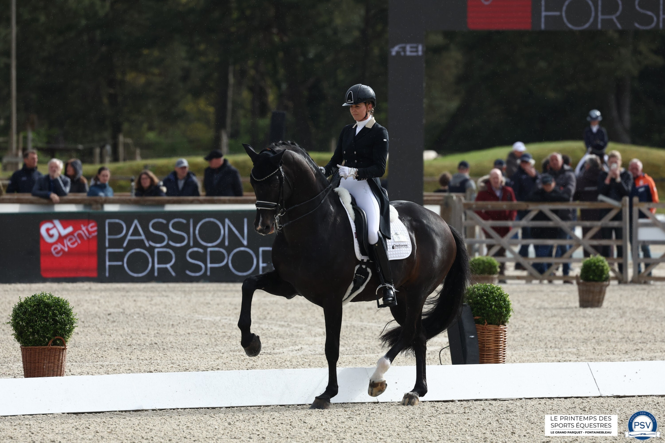 CDI 5* OF THE PRINTEMPS DES SPORTS ÉQUESTRES: EMMELIE SCHOLTENS WINS THE GRAND PRIX CHEVAL TV 1 Emmelie Scholtens con il suo Indian Rock al Printemps des Sports Équestres