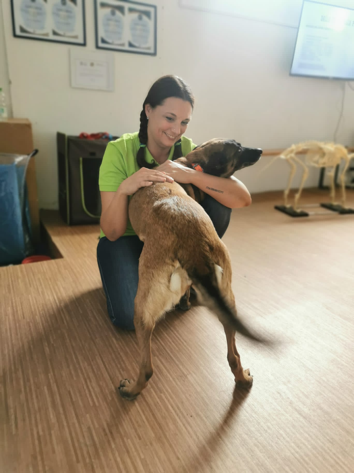 L'eccellenza nella formazione pensata per garantire il benessere animale 2 4f78d47b 7d3e 4de7 a97d 0c698574fda61