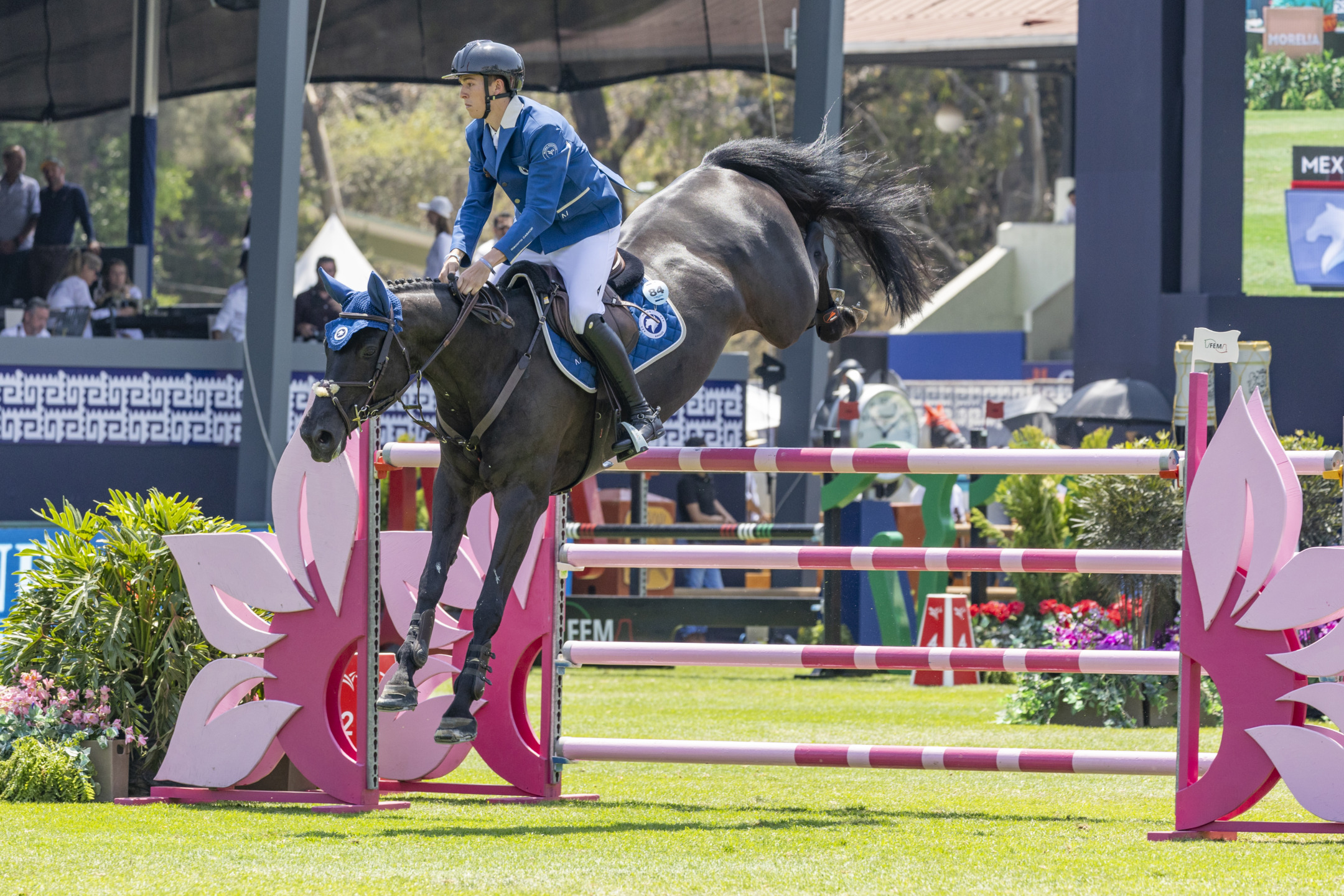 Casadei Giacomo ITA riding Marbella du Chabli Mexico 20240413 SS357592 1