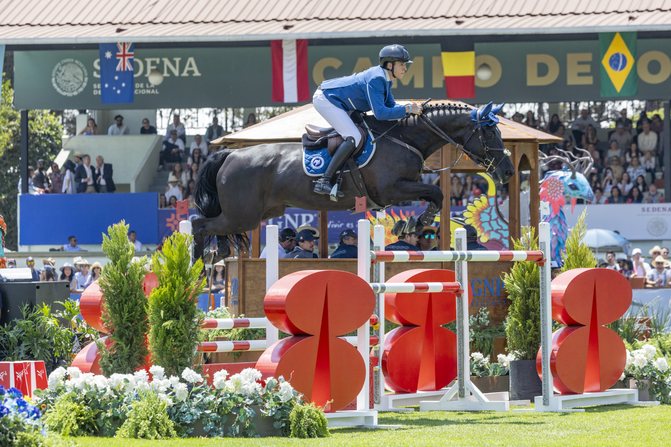 Casadei Giacomo ITA riding Marbella du