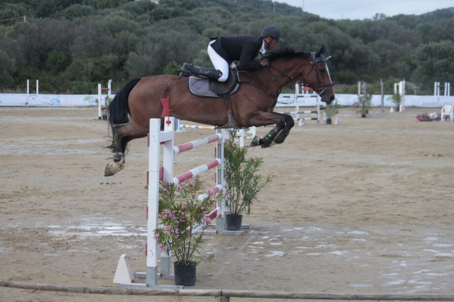 Salto Ostacoli: 250 binomi da giovedì alla Soe Oristano per i Campionati Regionali. 3 G. Murruzzu su Taissa Sarda 2