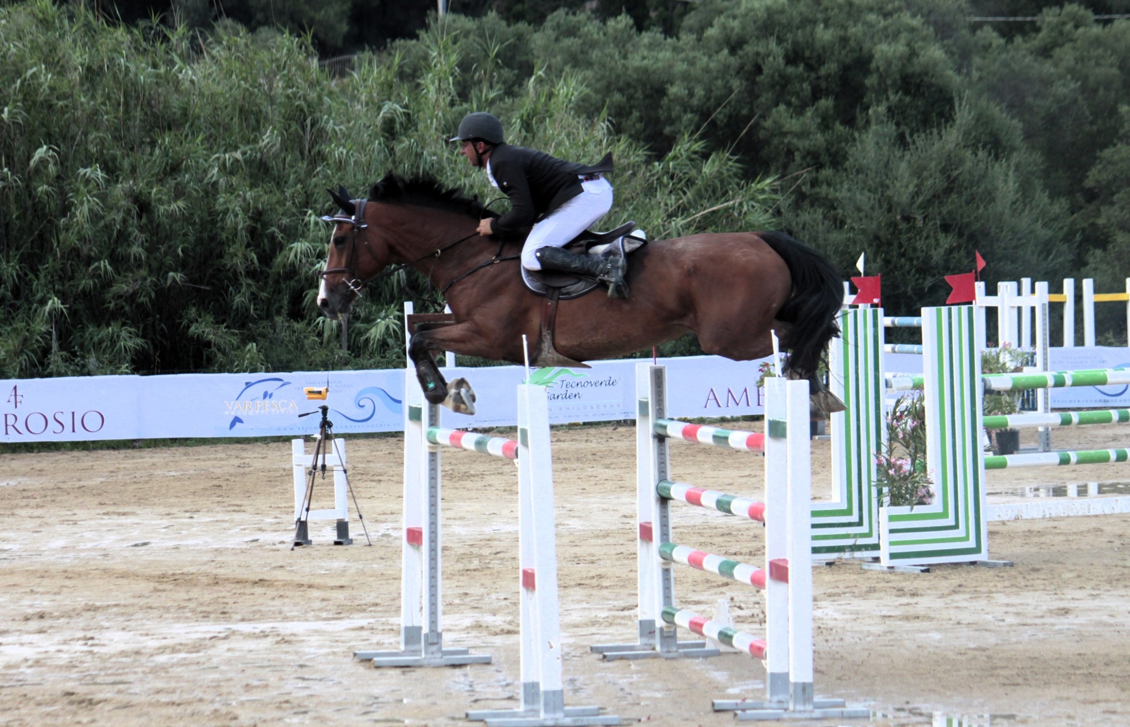 Salto Ostacoli: 250 binomi da giovedì alla Soe Oristano per i Campionati Regionali. 1 Gianleonardo Muruzzu su Taissa 3 Sardegna