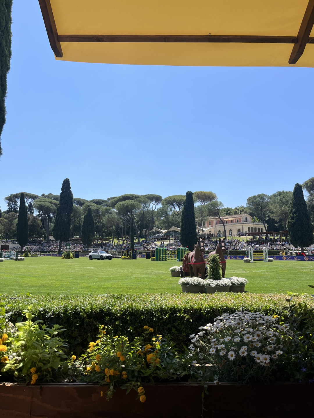 Piazza di Siena tra arte e spettacolo