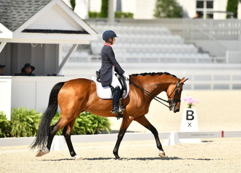Il Canada bene nell'Hampton Green Farms World Equestrian Center 3 Knight