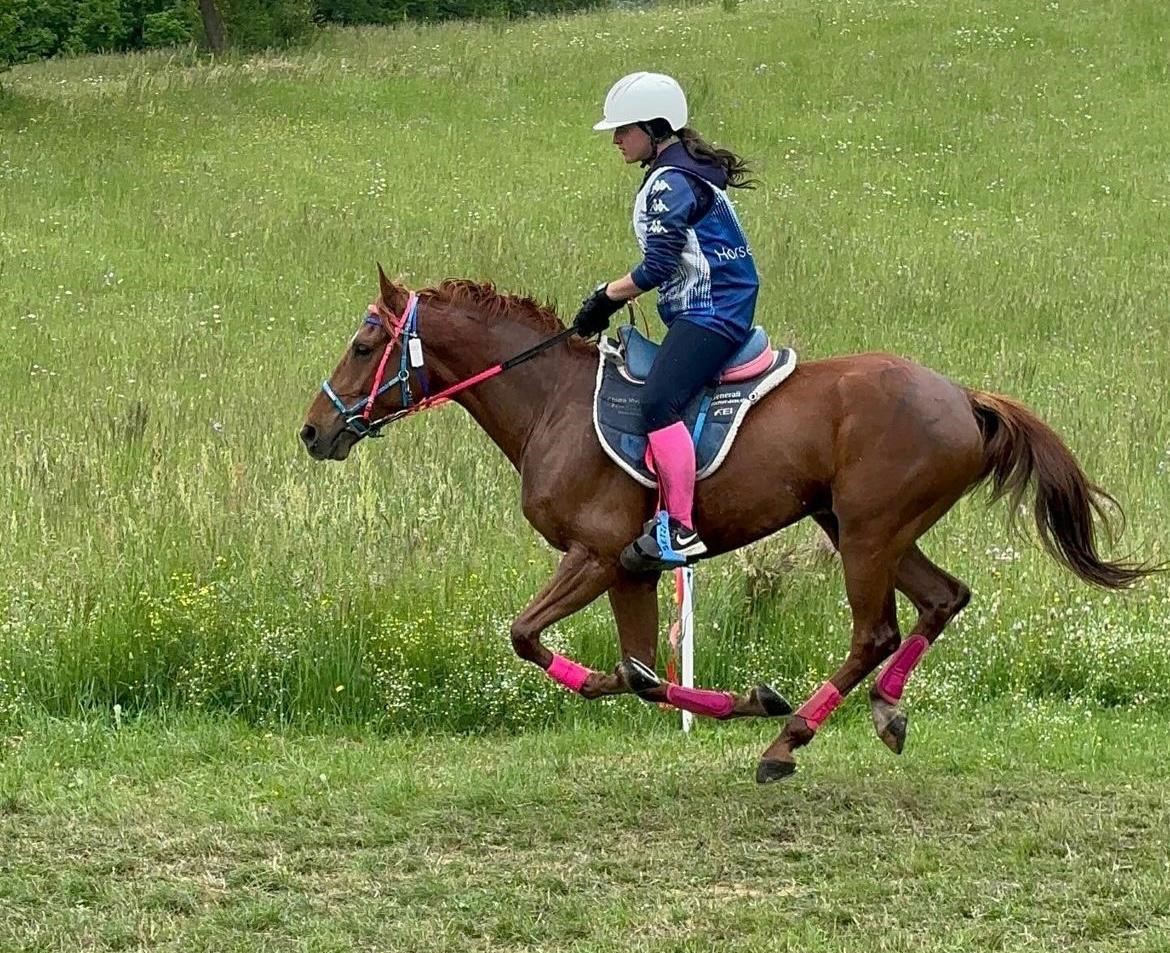 Endurance: la Sardegna vince due titoli italiani con Marica Anna Marras e Giorgio Ruggero Prezioso 1 Marica Anna Marras