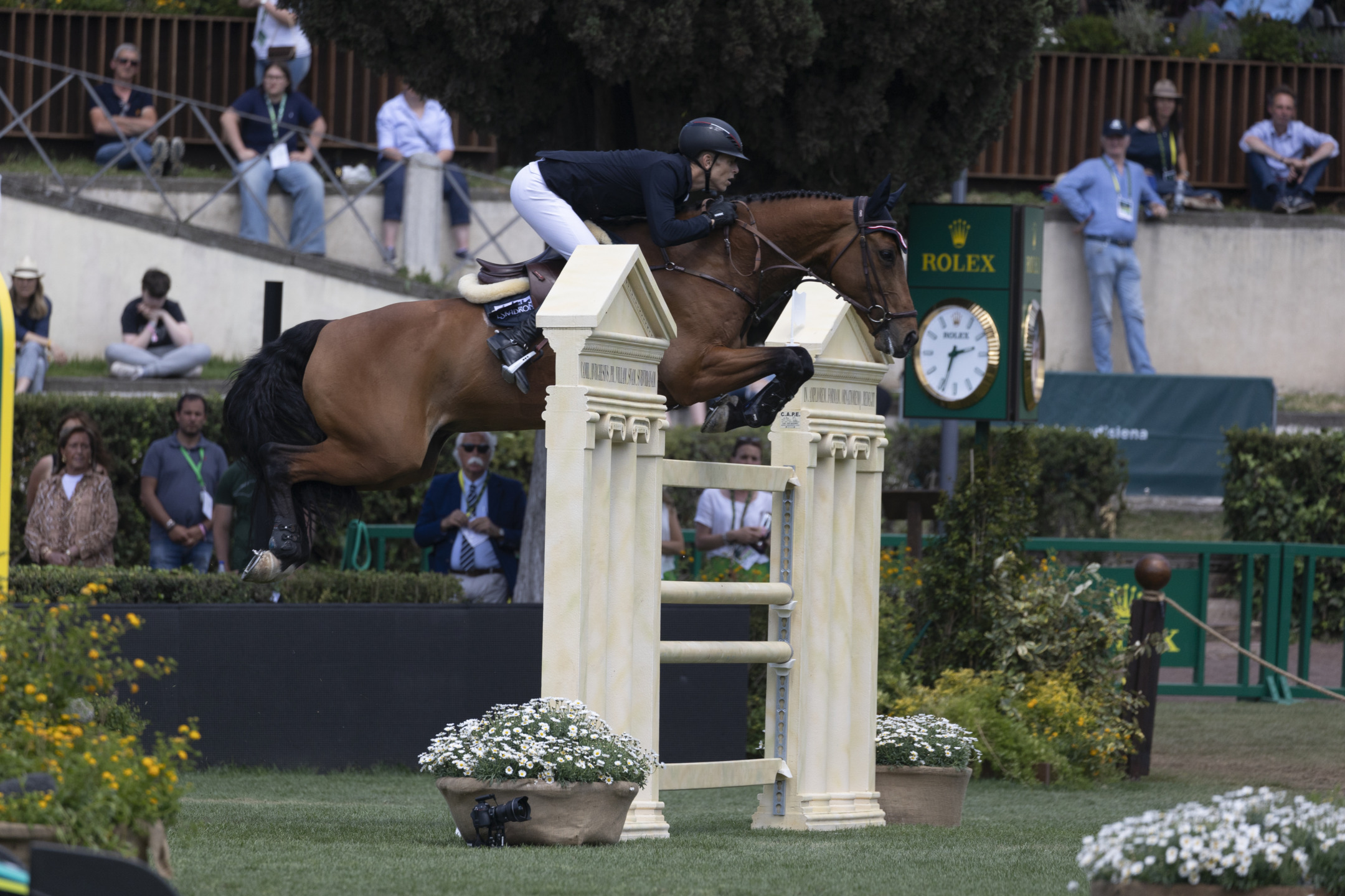 Piazza di Siena, il Rolex Gran Premio dello CSIO Roma va a Karl Cook 3 Max Kuhner AUT Elektric Blue P ROMA 20240526 SS355474 1