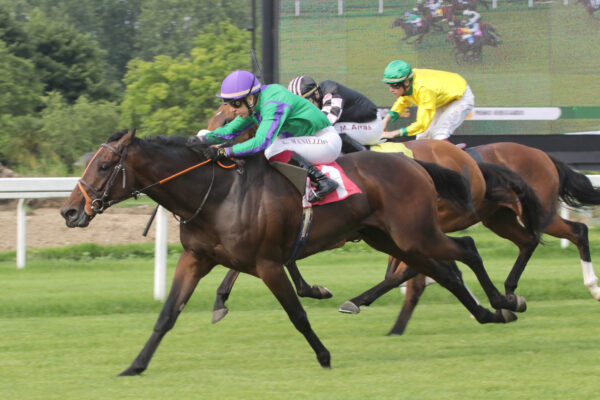 Premio Bereguardo Ippodromo Snai San Siro