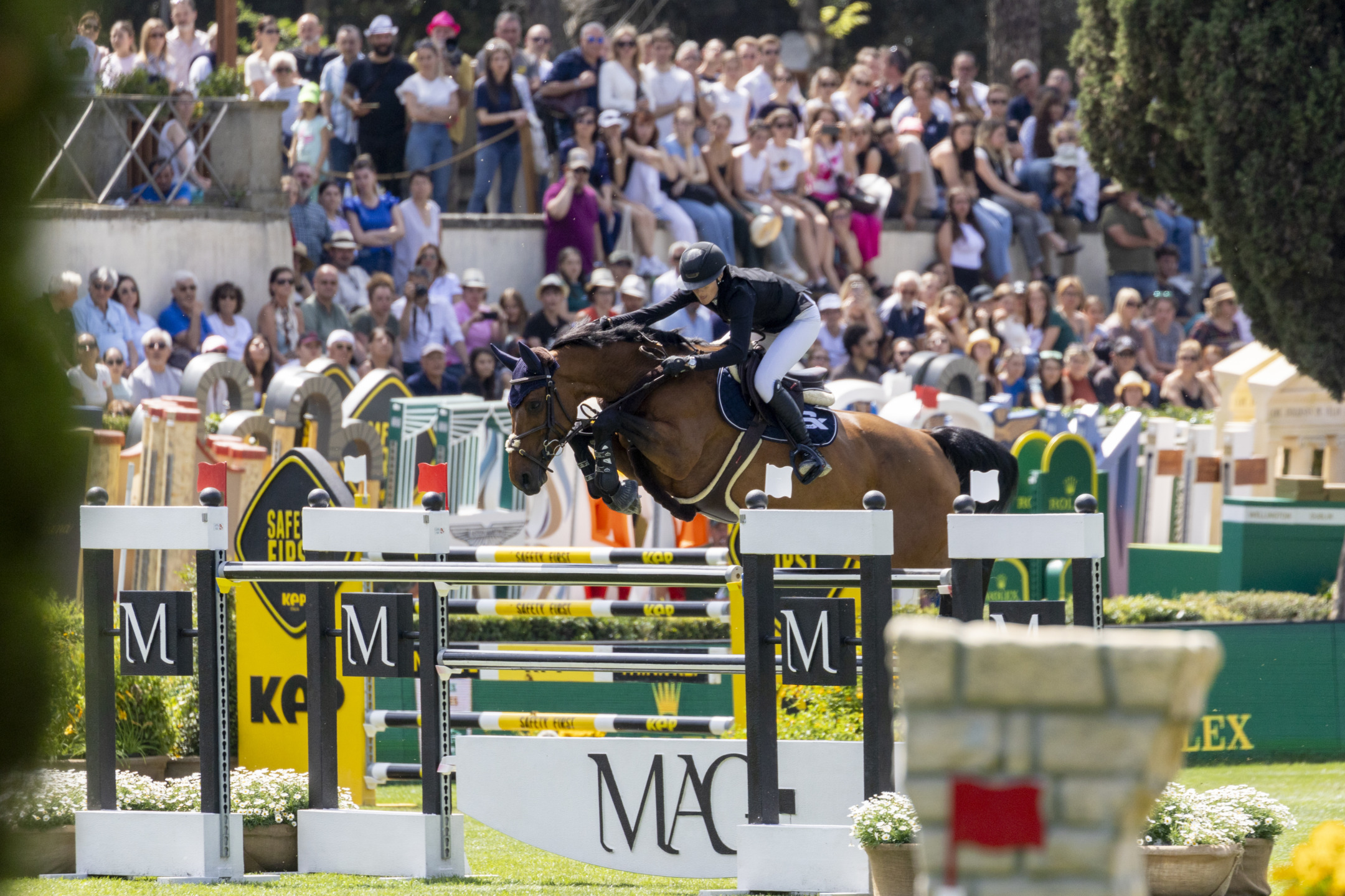 Piazza di Siena, il Rolex Gran Premio dello CSIO Roma va a Karl Cook 5 Petronella Andersson SWE Odina Van Klapscheut ROMA 20240526 SS355845