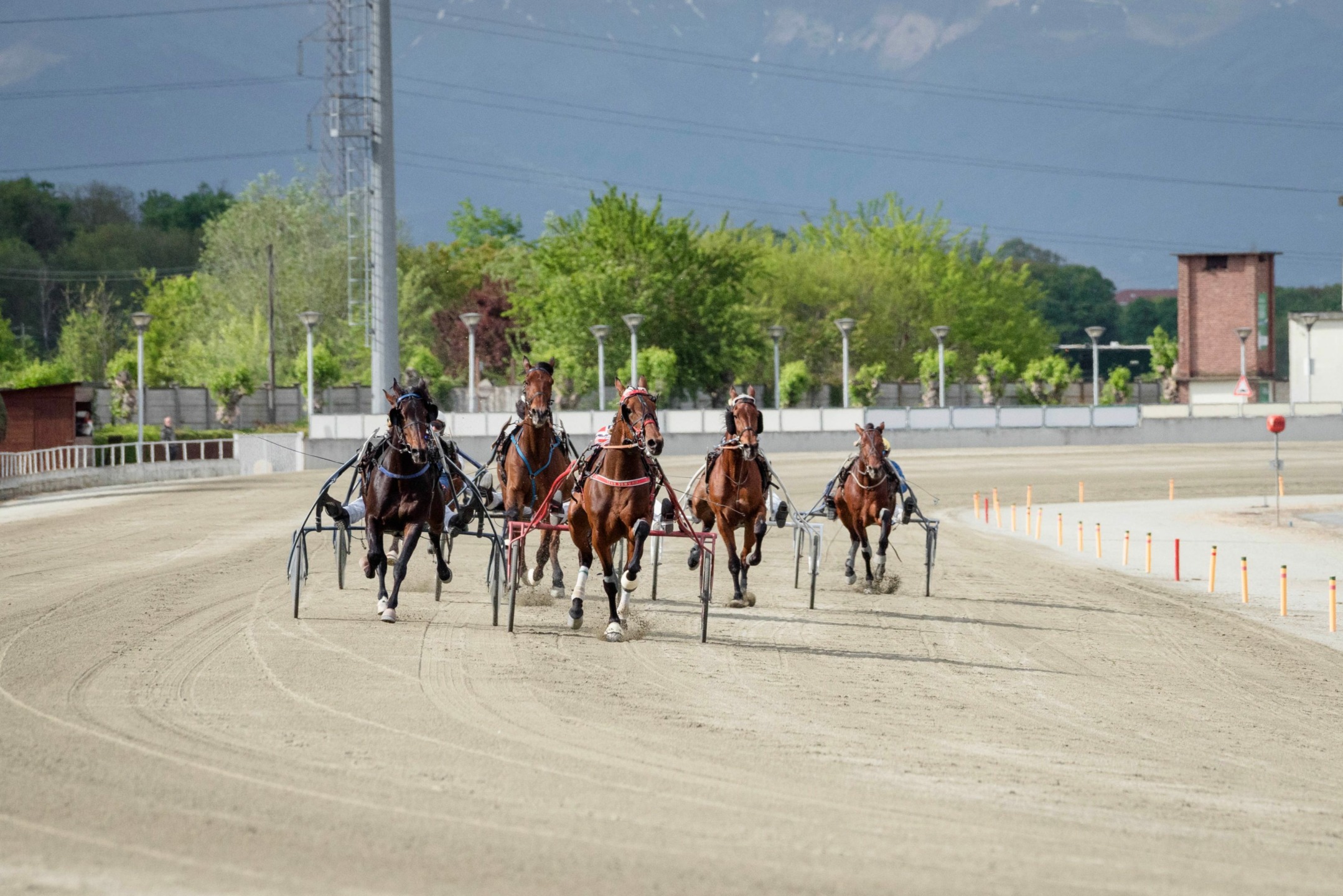 Ippodromo di Vinovo: 12 maggio, Festa della Mamma in pista con i Gentlemen le Azalee della ricerca AIRC. 1 Vinovo Ippodromo Festa della Mamma