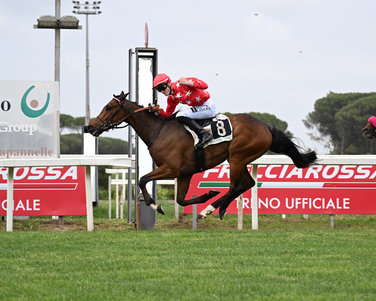 Il 141° Derby Italiano di Galoppo va al tedesco Borna 2 Woodchuk trionfa nel Presidente