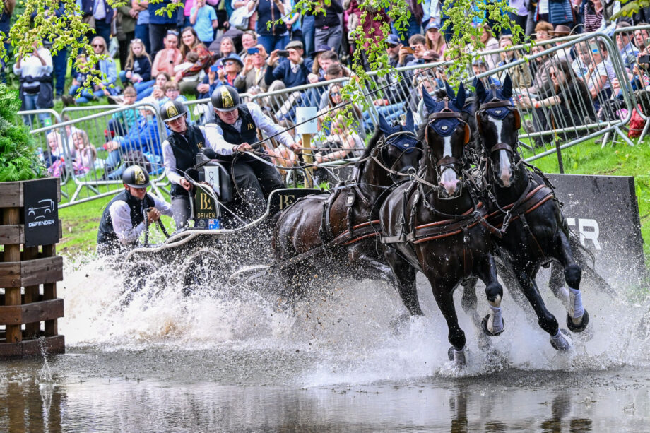 Le stelle brillano allo Show Royal Windsor 3 byod