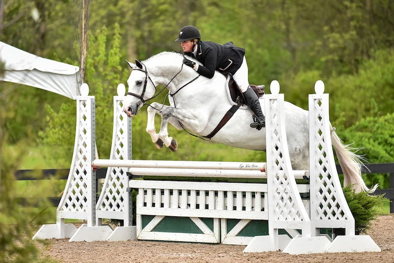 Il Saratoga Spring Horse Shows 2024 si conclude alla White Hollow Farm 3 calli seman da mettere in mezzo