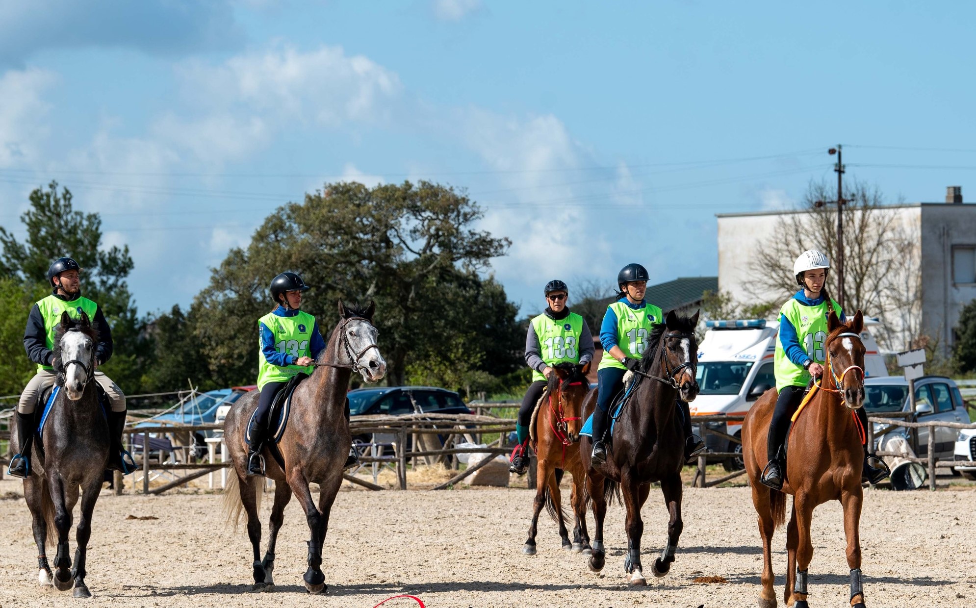 L'agenzia regionale ASVI è ancora bloccata, saltano le gare, a rischio l'Internazionale di Endurance valida per la qualificazione mondiale. 1 Fise Sardegna - Endurance 2024 - ASVI