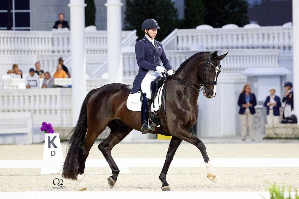 Guardare e cenare all'Hampton Green Farms Dressage Grand Prix Freestyle CDI3* Presentato da Lugano Diamonds. 1 Ocala dressage 22-26 maggio freestyle