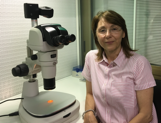 Avantea: un centro all'avanguardia per le biotecnologie della riproduzione equina 3 foto Giovanna