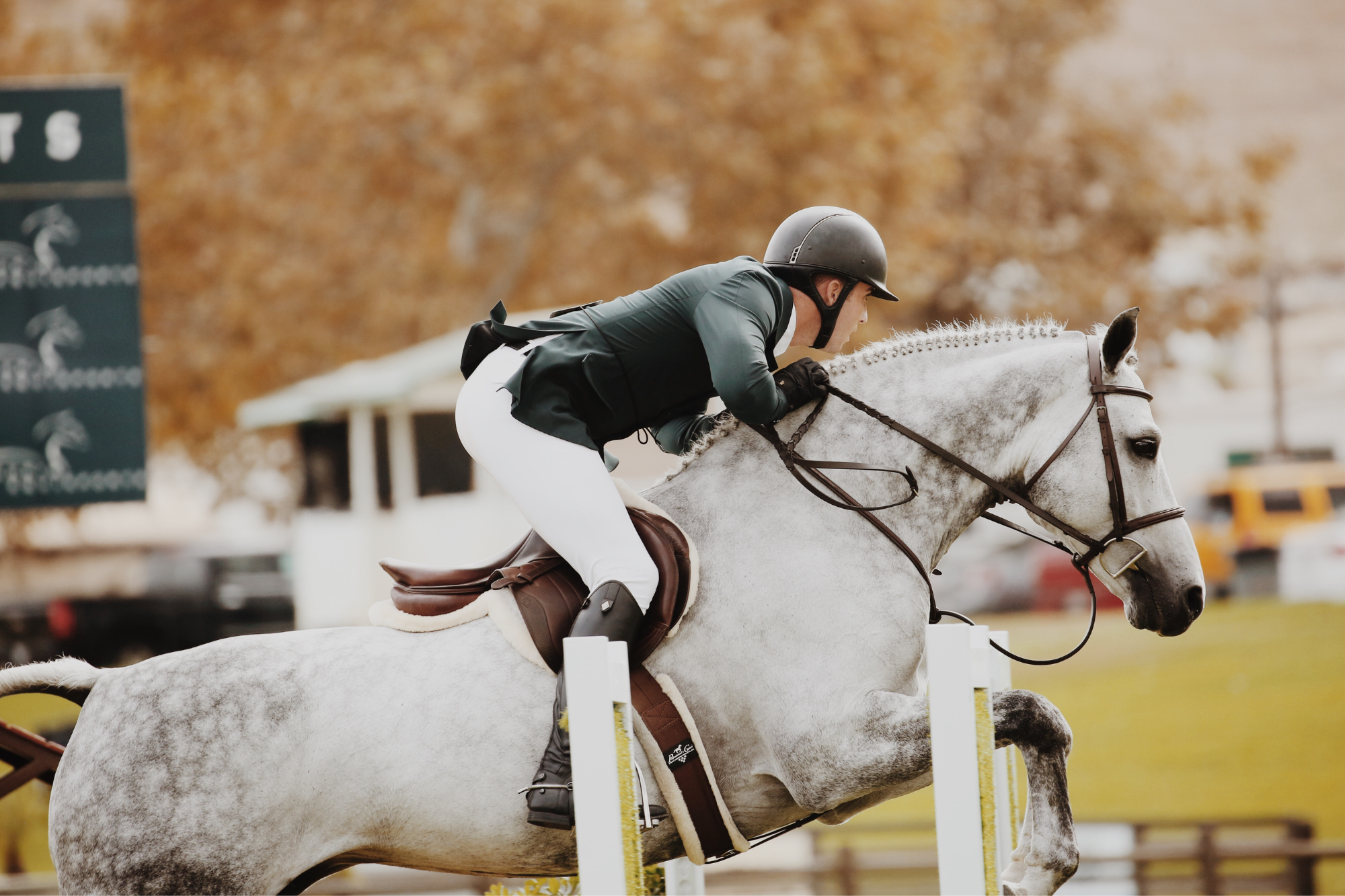 La corretta idratazione del cavallo: l’uso degli elettroliti nella dieta equina 6 jump
