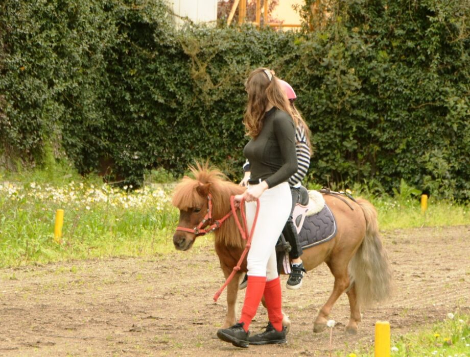 pony 1 rambaldi