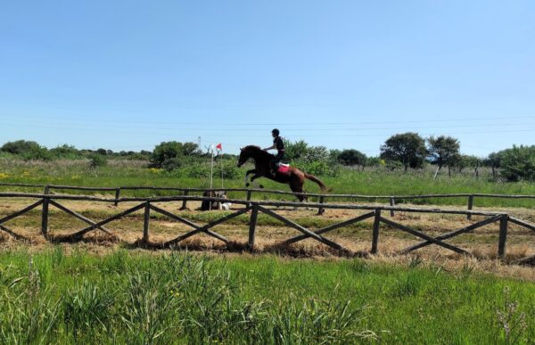 salto-cross