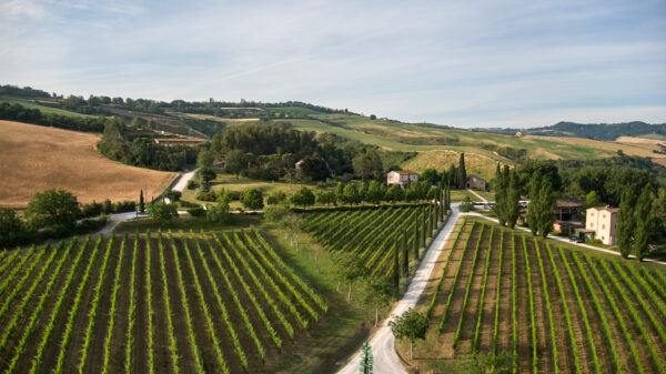 tenuta santi giacomo e filippo resort vigneti
