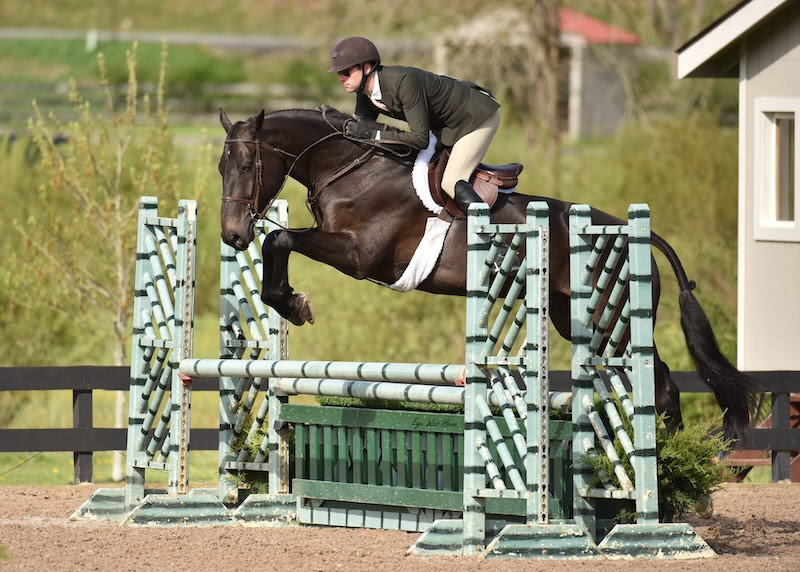 Il Saratoga Spring Horse Shows 2024 si conclude alla White Hollow Farm 2 terza foto