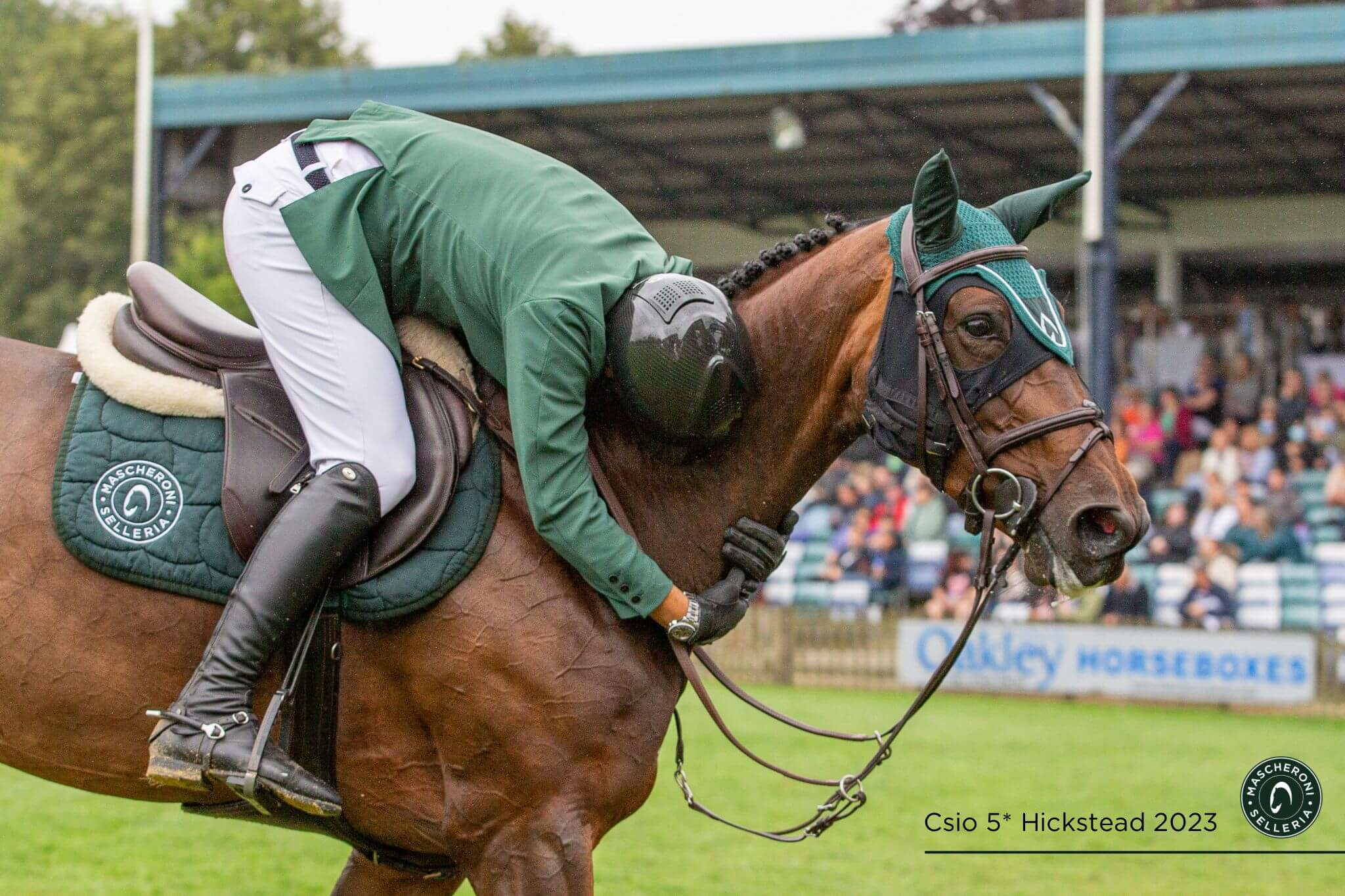 Francesco Turturiello: la passione per il salto ostacoli e il percorso verso il successo 3 turturiello francesco csio hickstead 2023 mascheroni selleria 03