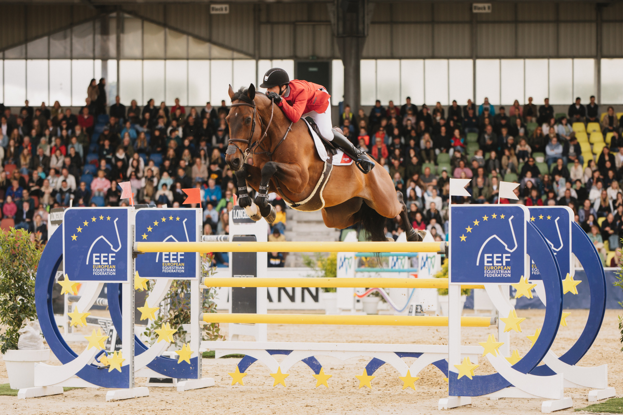 "La Longines EEF Series è la cosa migliore che sia capitata al nostro sport negli ultimi anni", ha dichiarato lo svizzero Edouardz Schmitz. 1 EEF Series Longines 2024