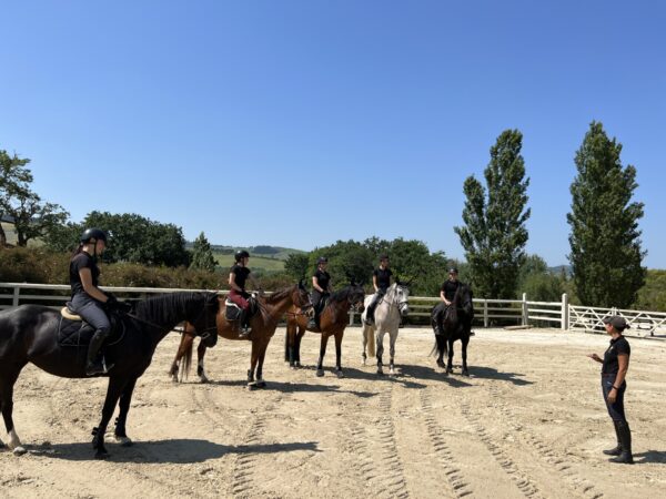 Maneggio Urbino Horses 7 Urbino Horses - Lezione equitazione